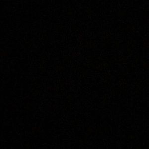 Meet your Posher, Paige